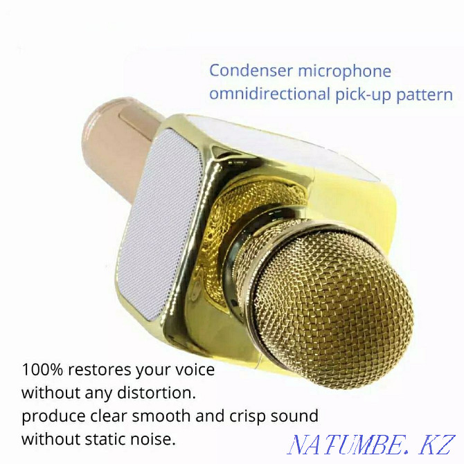 Karaoke microphone / Microphone / Karaoke microphone / Karaoke microphone Astana - photo 4