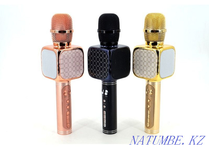 Karaoke microphone / Microphone / Karaoke microphone / Karaoke microphone Astana - photo 5