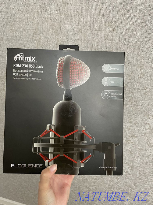 Микрафон для записи звука Ritmix RDM-230 Астана - изображение 1