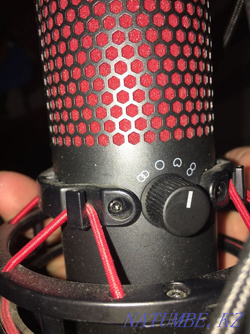 hypex x microphone Oral - photo 2