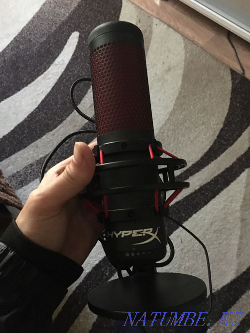 hypex x microphone Oral - photo 1