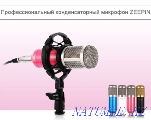 BM-800 конденсаторлы микрофон + USB дыбыс картасы  Қарағанды - изображение 1