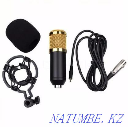 BM-800 конденсаторлы микрофон + USB дыбыс картасы  Қарағанды - изображение 2