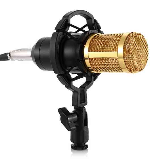 Микрофон студийный BM-800 Taraz