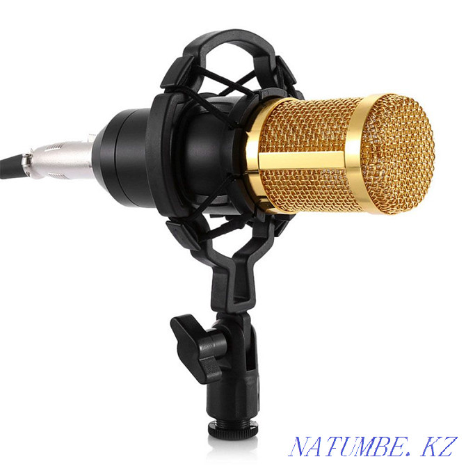 Студия микрофоны BM-800  Тараз  - изображение 3