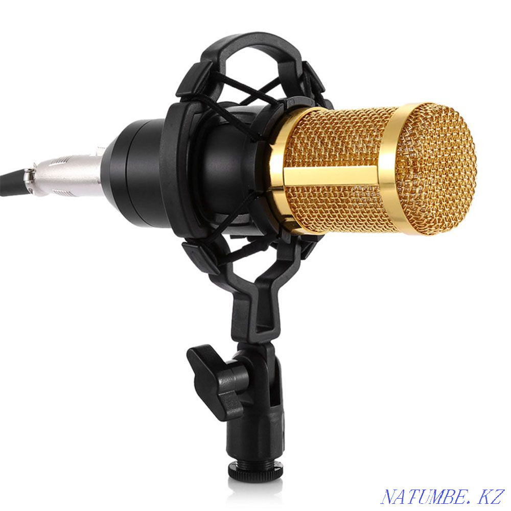 Studio microphone BM-800 Taraz - photo 3