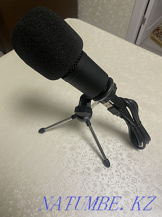 Microphone Cella m1 pro Большой чаган - photo 2