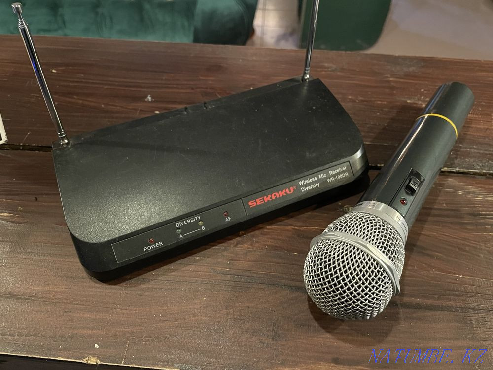Microphone Zhanaozen - photo 1