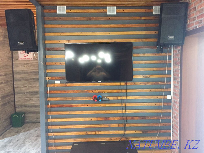 Karaoke systems ENCORE Валиханово - photo 3