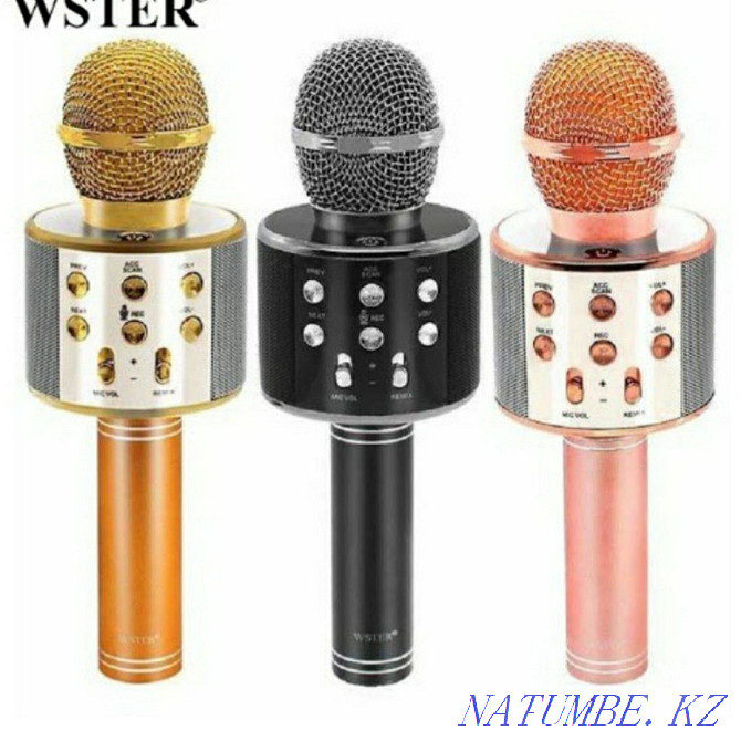 Karaoke Microphone WS-858 (USB, microSD, AUX, Bluetooth) Aqtau - photo 1