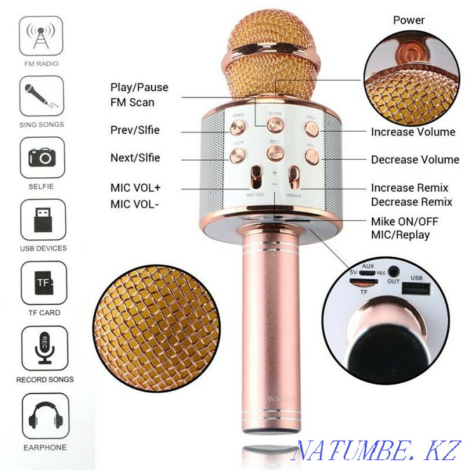 Karaoke Microphone WS-858 (USB, microSD, AUX, Bluetooth) Aqtau - photo 2