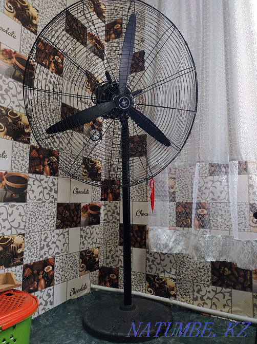 fan big Aqsay - photo 1