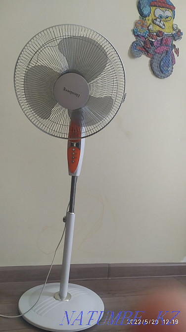 Жанкүйер "Эленберг"  - изображение 2