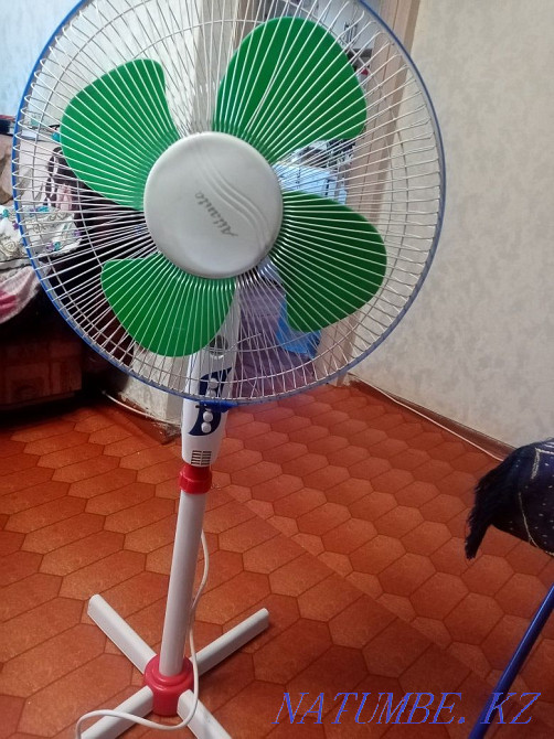 Продаю два вентилятора Караганда - изображение 2