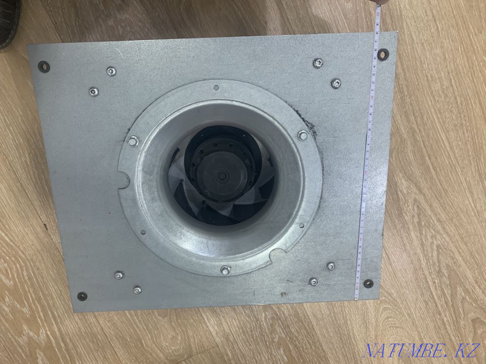 Fan Astana - photo 4