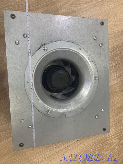 Fan Astana - photo 3