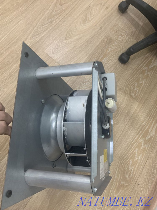 Fan Astana - photo 5