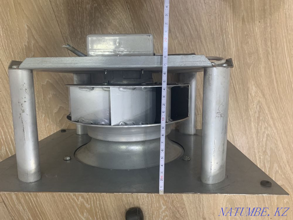 Fan Astana - photo 2