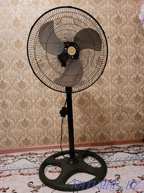 Fan black Кайтпас - photo 2