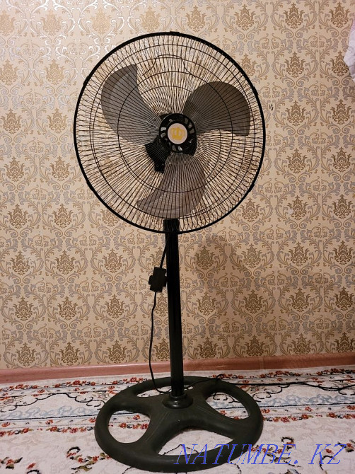 Fan black Кайтпас - photo 1