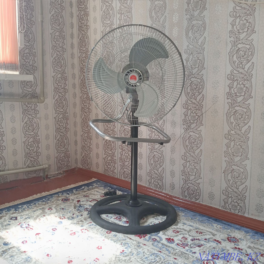 FAN big new Муратбаев - photo 1