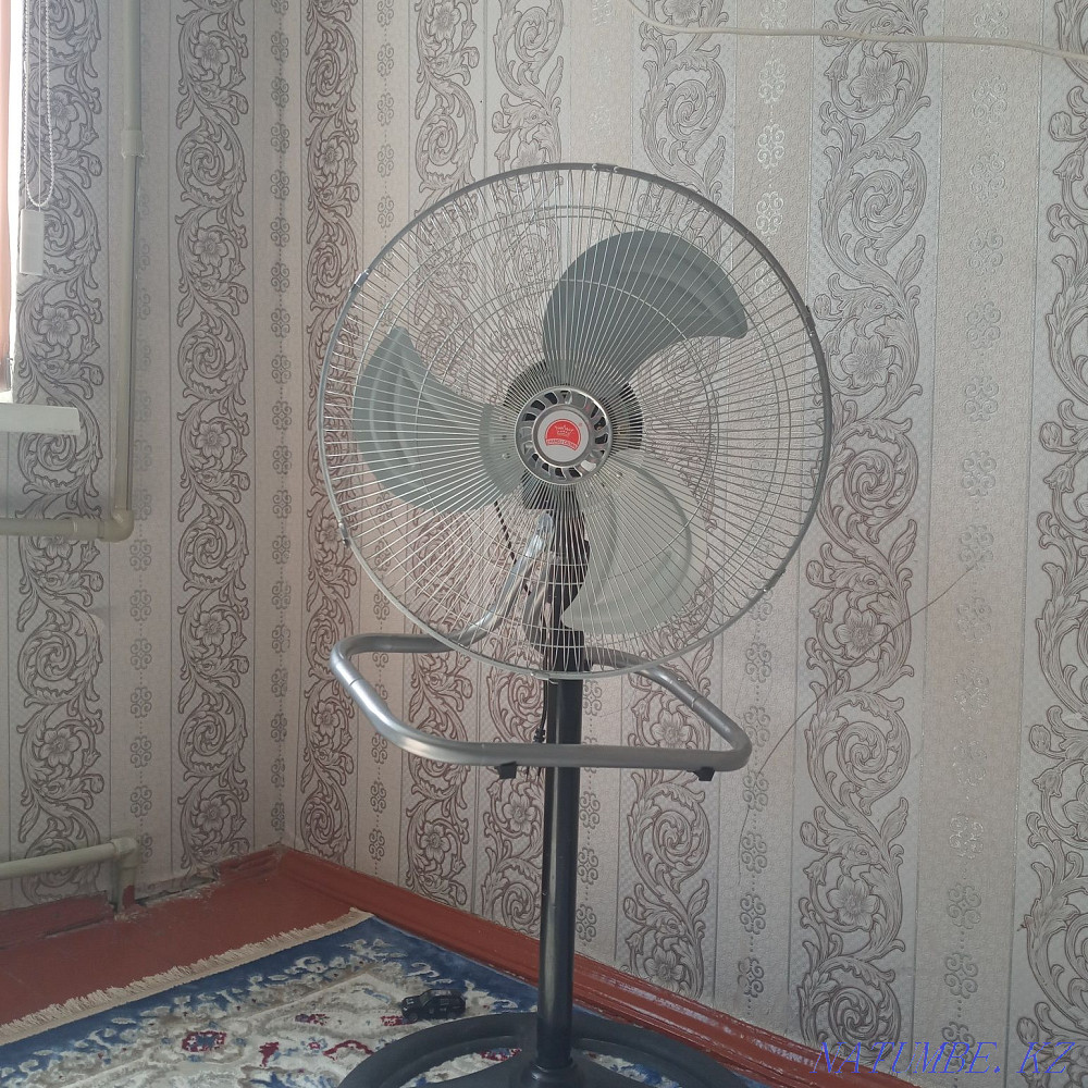 FAN big new Муратбаев - photo 2