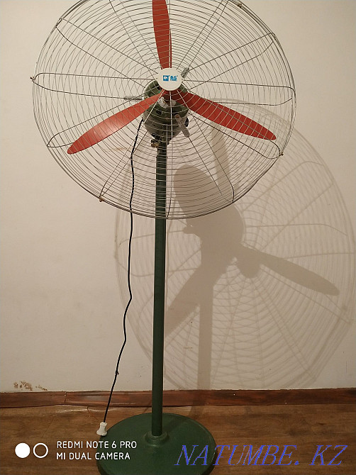 Күшті жанкүйерлер  Алматы - изображение 2