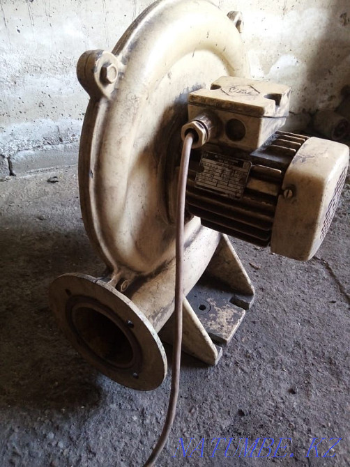 snail fan for sale Semey - photo 1