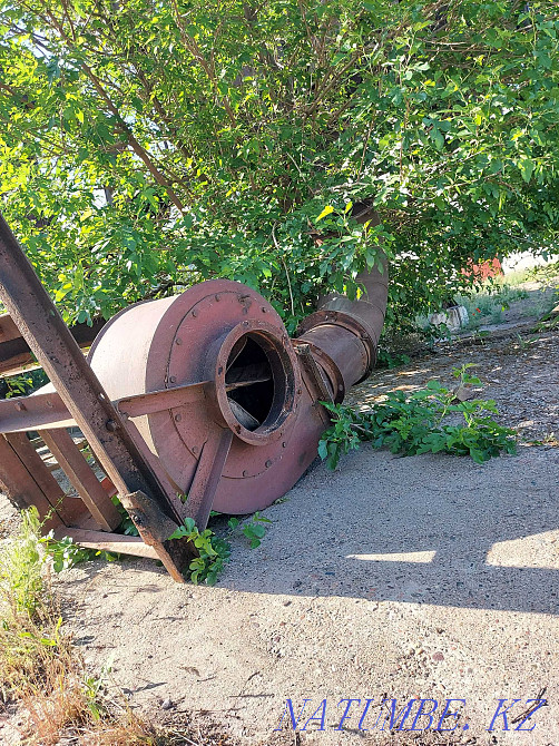 Fan Fans Fans Semey - photo 1