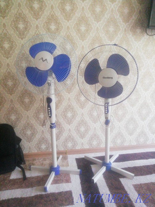 Leg fans Ekibastuz - photo 1