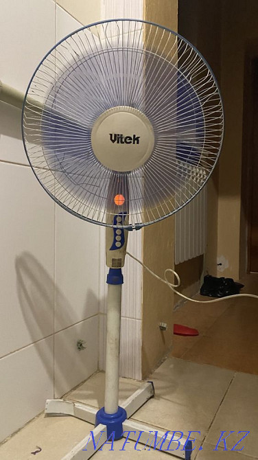 Fan Two for One Shymkent - photo 4