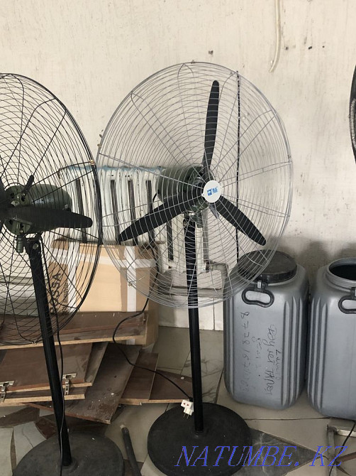 Жанкүйерлер үлкен  - изображение 3