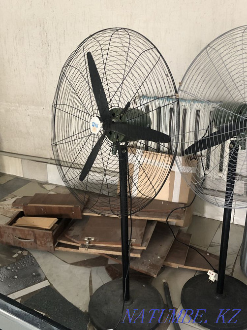 Жанкүйерлер үлкен  - изображение 2