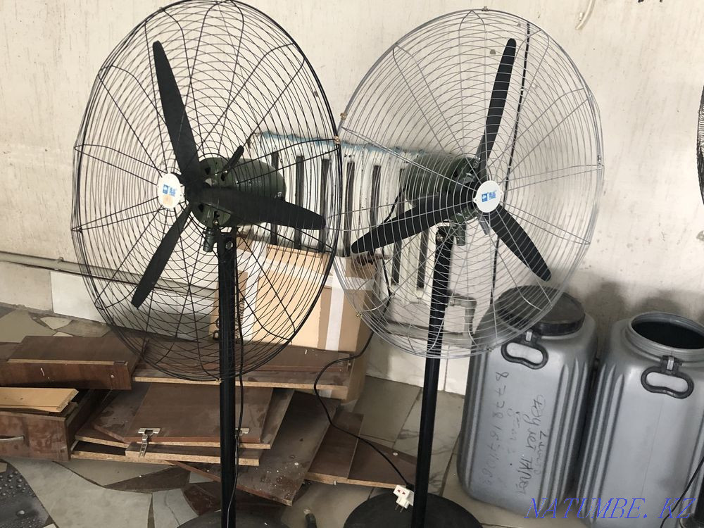 Жанкүйерлер үлкен  - изображение 1