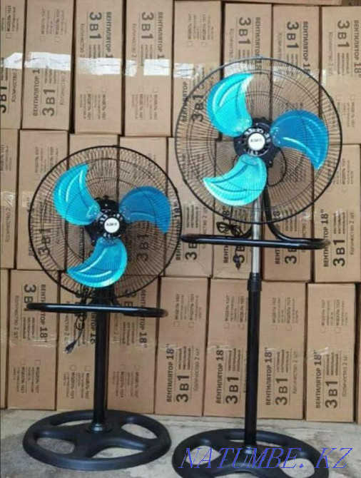 Жанкүйерлерді сатыңыз  Алматы - изображение 1