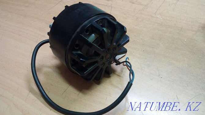 electric motor Astana - photo 3