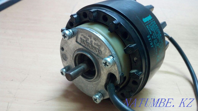 electric motor Astana - photo 2