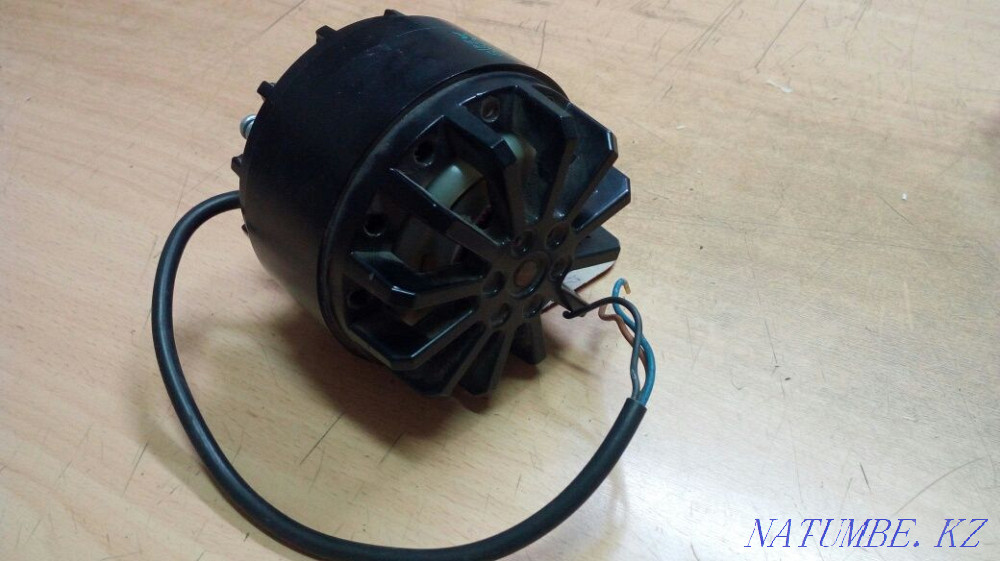 electric motor Astana - photo 3