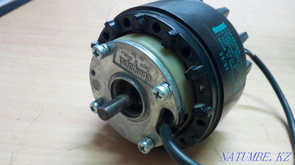 electric motor Astana - photo 2