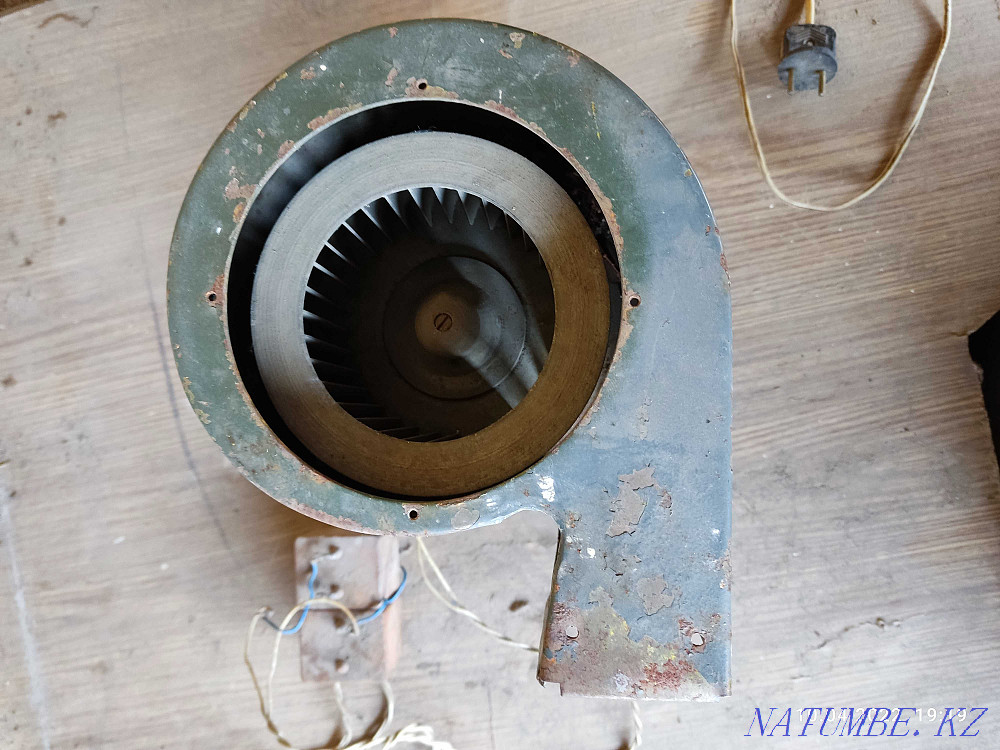 electric fan Oral - photo 3