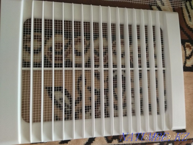 Sell ventilation grilles Aqsu - photo 1