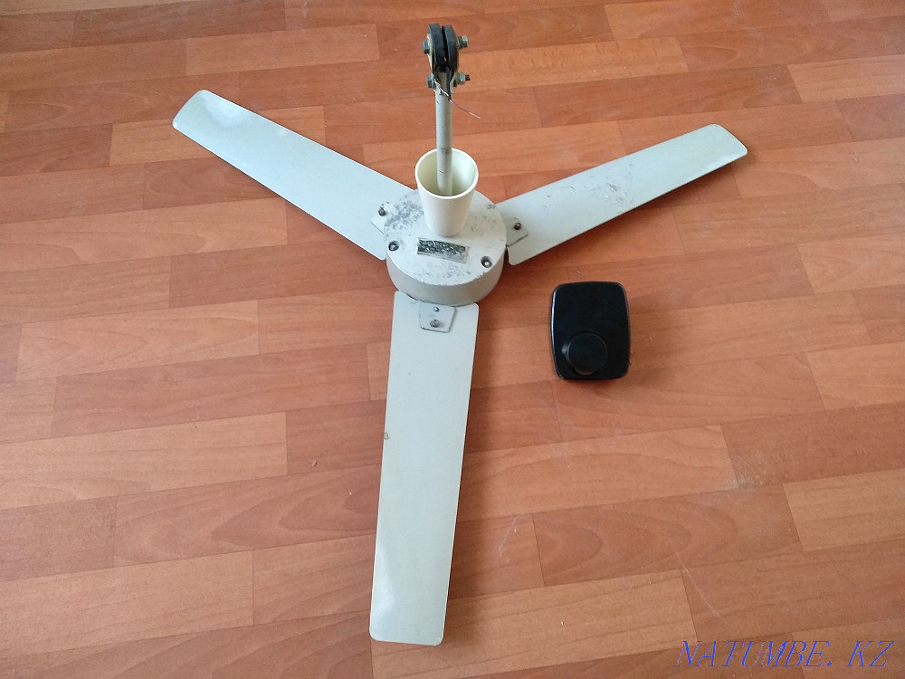 ceiling fan Oral - photo 1