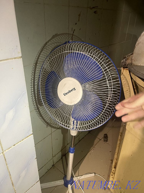 Fan Almaty - photo 1