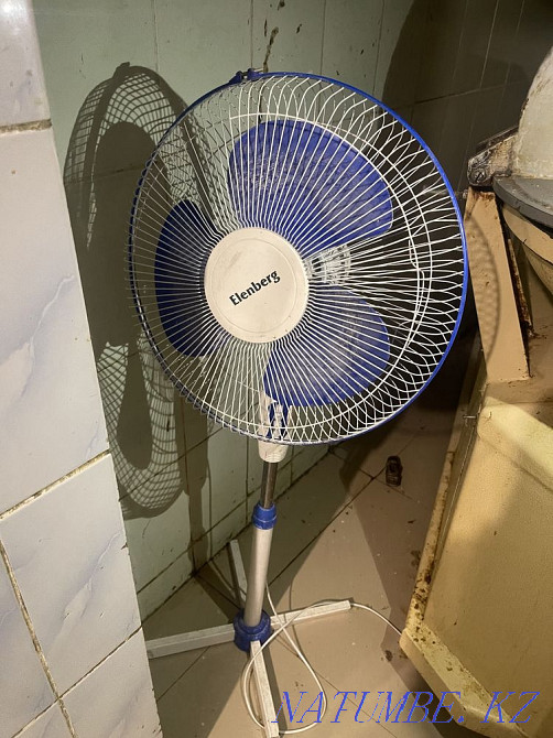 Fan Almaty - photo 2