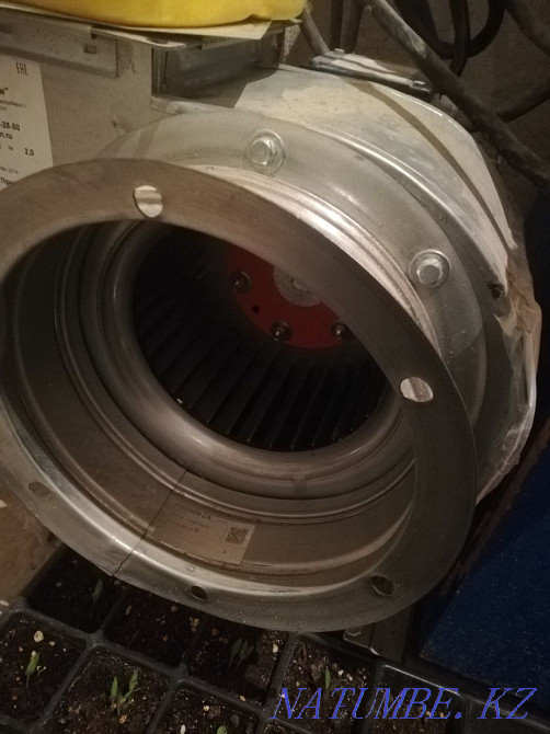 Snail extract satylada new Aqtau - photo 1