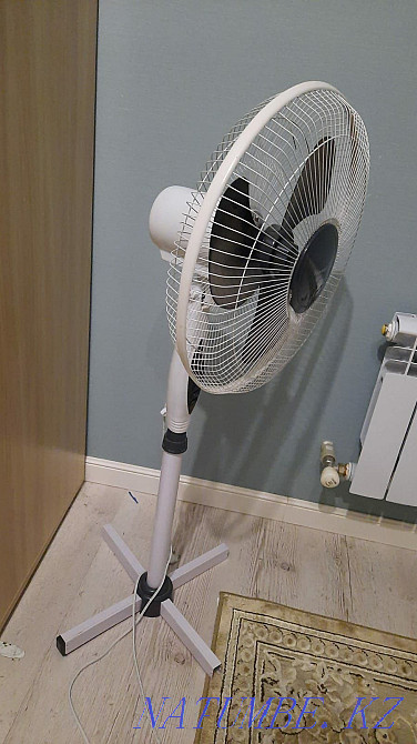 white fan Astana - photo 2