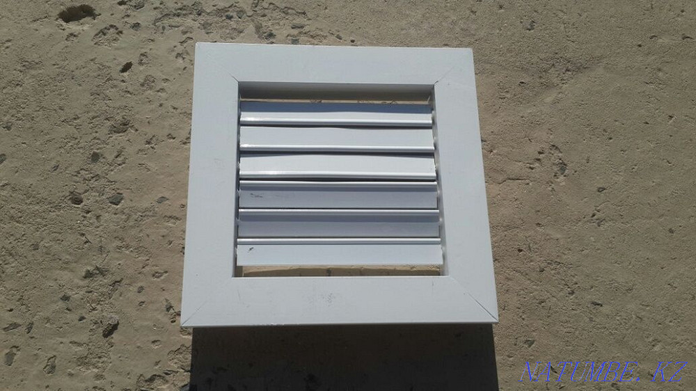 продаётся Витишка Актау - изображение 3