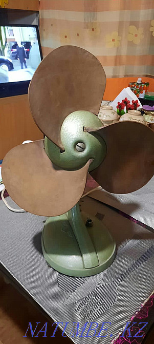 The fan of the USSR. I will sell. Almaty - photo 1