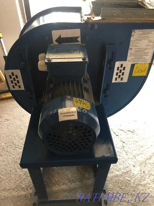 Radical fan Almaty - photo 1