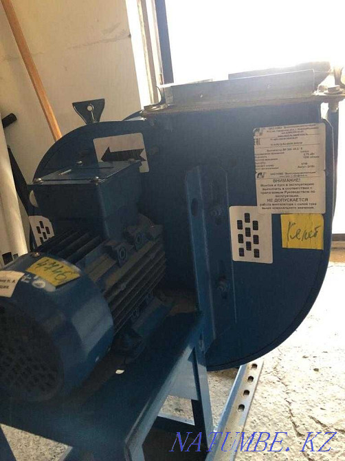 Radical fan Almaty - photo 2